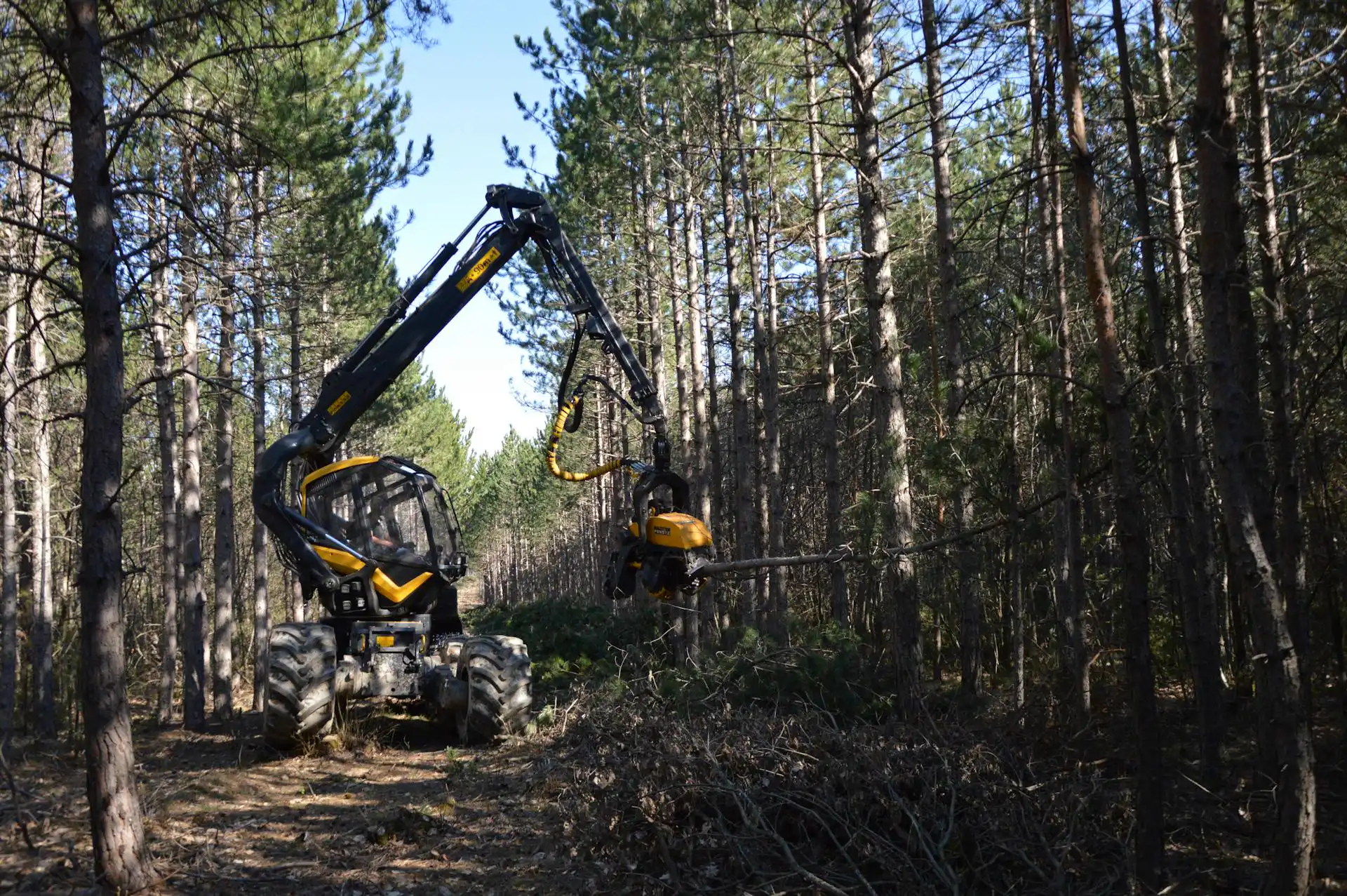 Metsäkone työssä